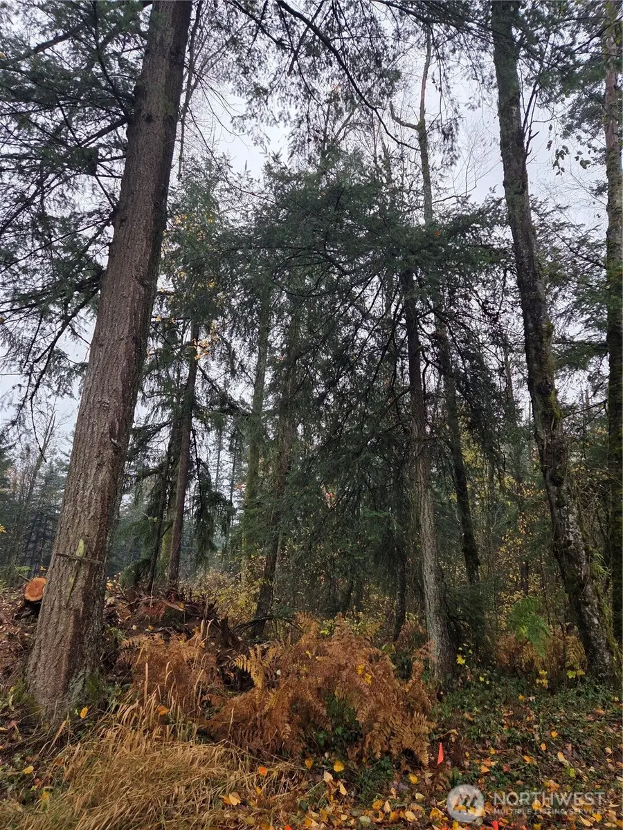 0 H Street, Blaine, WA 98230 - Image #2