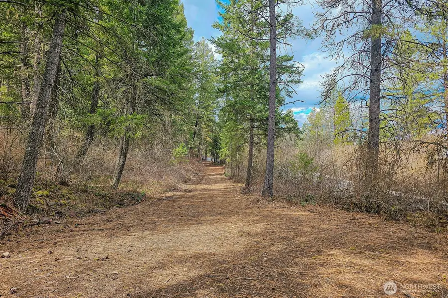 4700 E Deer Park Milan Road, Chattaroy, WA 99003 - Image #2