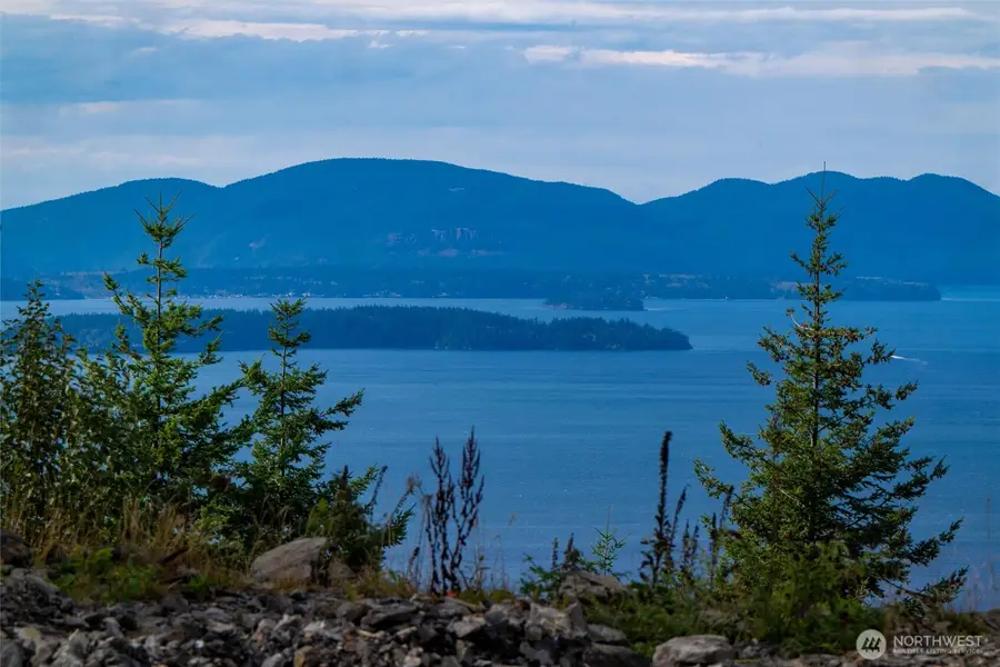 3140 Blanchard Knob Trail #4D, Bow, WA 98232 - Image #2