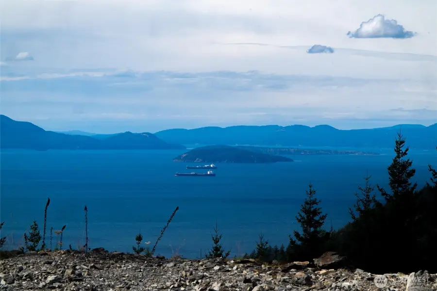 3120 Blanchard Knob Trail #5E, Bow, WA 98232 - Image #3