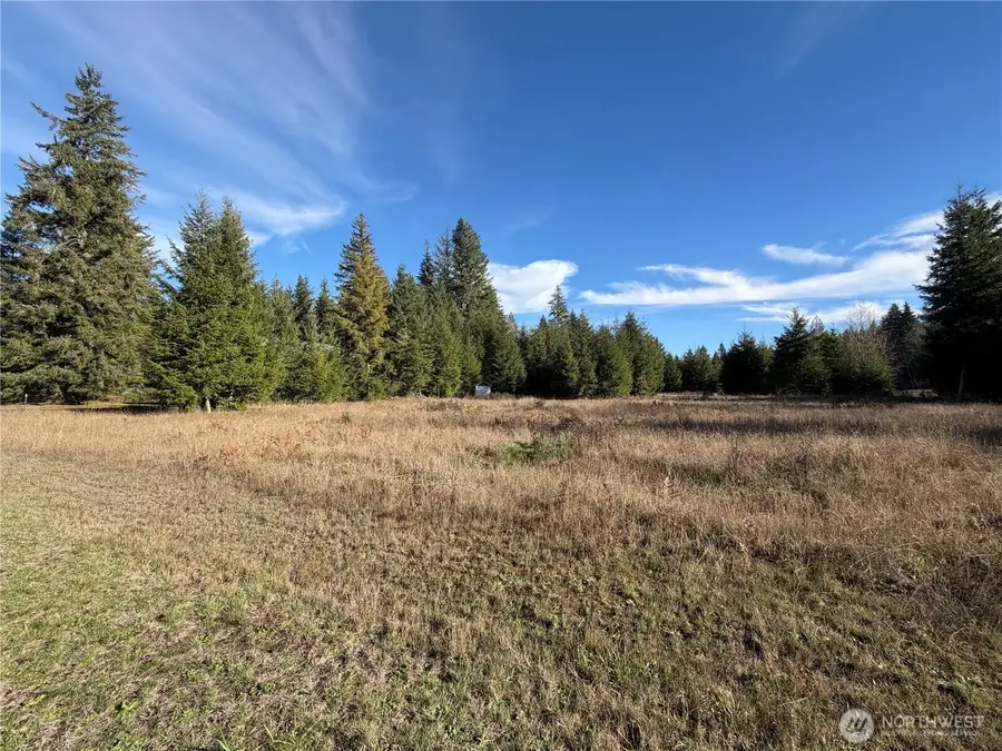 138 Shelton Road, Randle, WA 98377 - Image #2