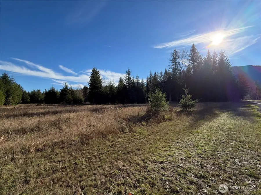 138 Shelton Road, Randle, WA 98377 - Image #3