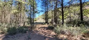 25999 Skyview Place E, Lincoln, WA 99147 - Image #2