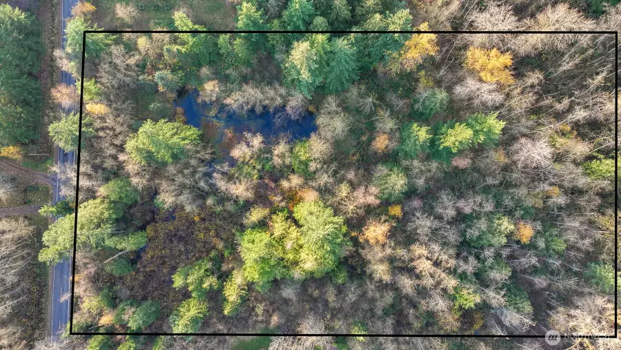 2160 H Street Road, Blaine, WA 98230 - Image #3