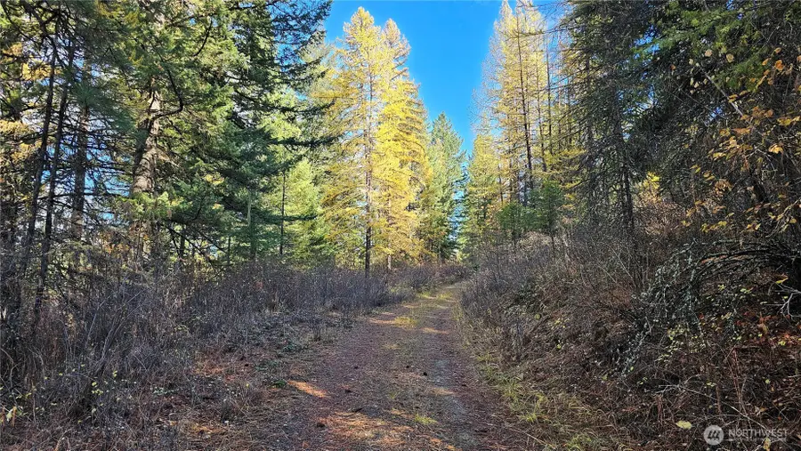 700 Dry Gulch Road, Colville, WA 99114 - Image #3