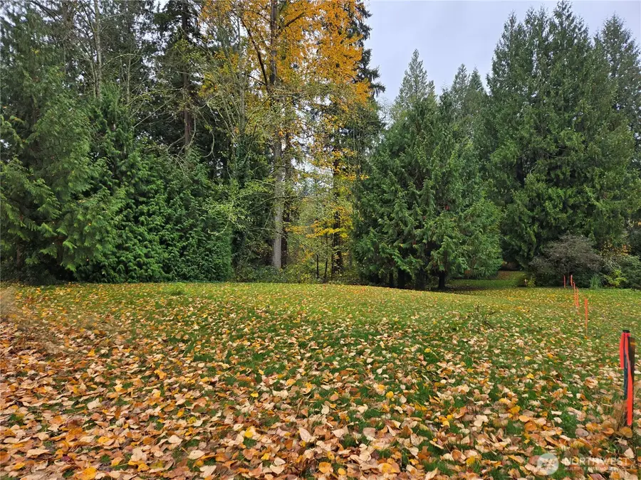 104 Slater Avenue Ne, Kirkland, WA 98033 - Image #3