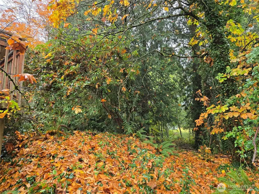 10415 Slater Avenue Ne, Kirkland, WA 98033 - Image #2