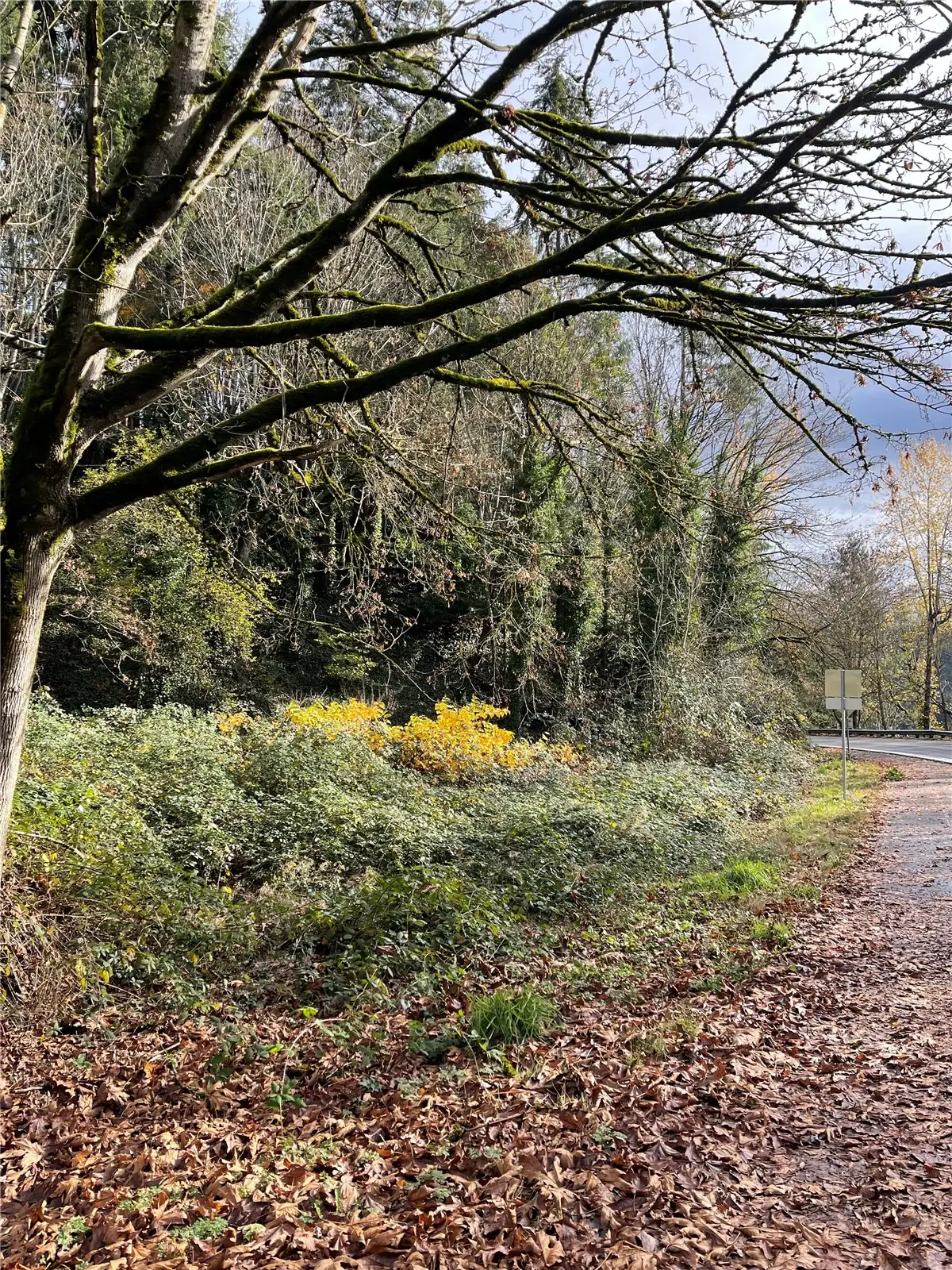 0 NE 131st Way, Kirkland, WA 98034 - Image #1