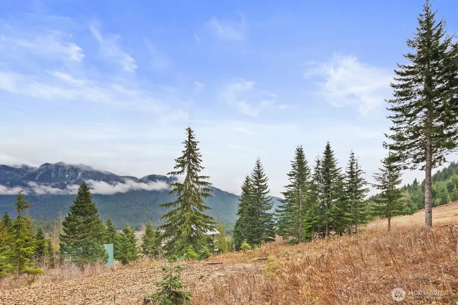 321 Innsbruck Drive, Snoqualmie Pass, WA 98068 - Image #3