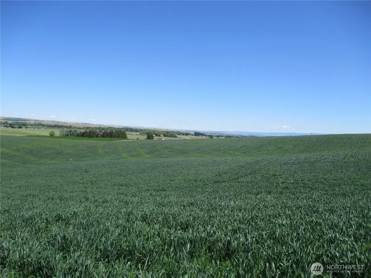 4285 Detour Road, Touchet, WA 99360 - Image #1