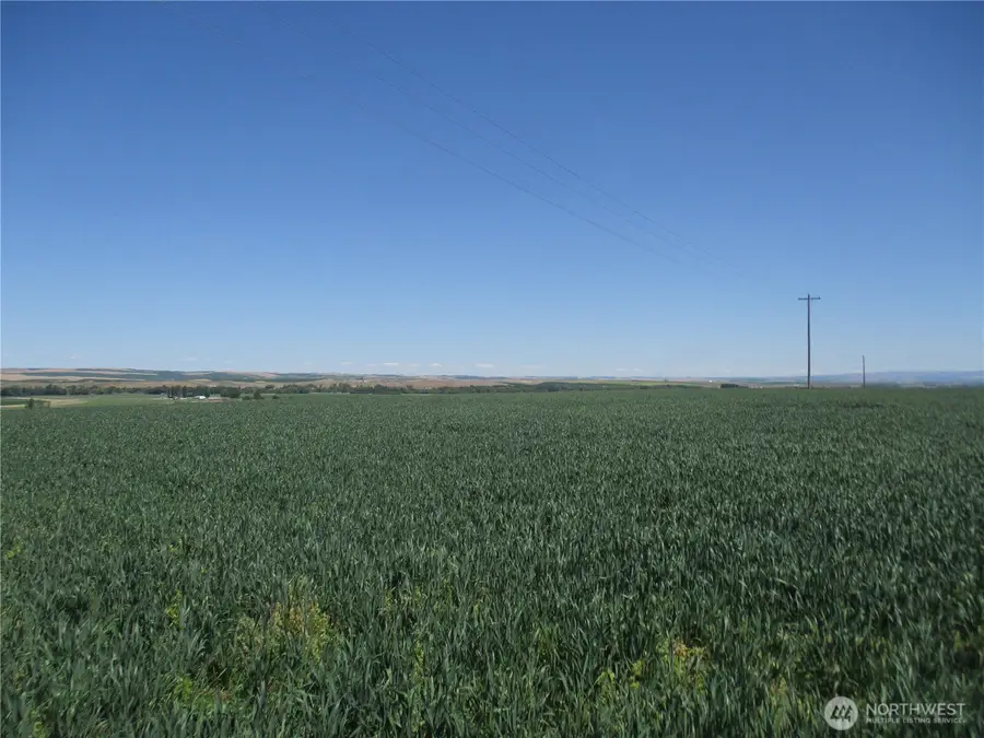 4285 Detour Road, Touchet, WA 99360 - Image #2