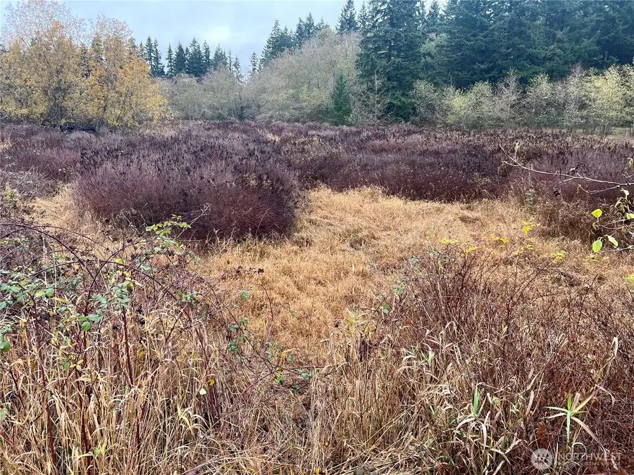 0 Rollinghill Road #12, Clinton, WA 98236 - Image #3