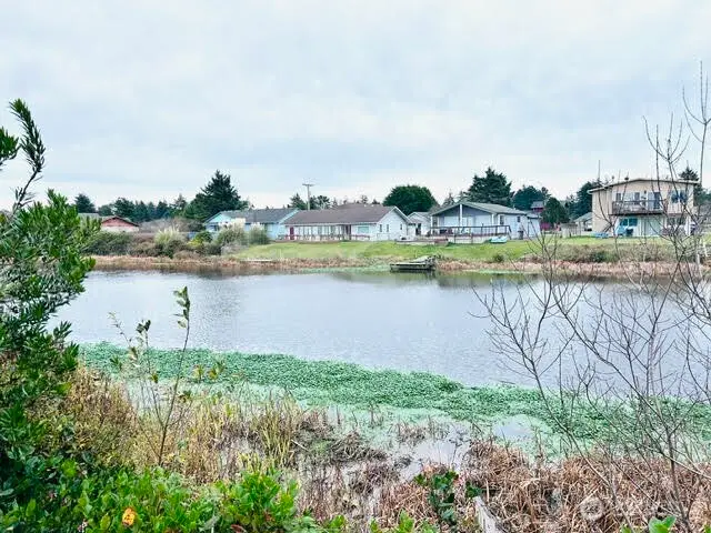 564 & 568 Point Brown Avenue Ne, Ocean Shores, WA 98569 - Image #2