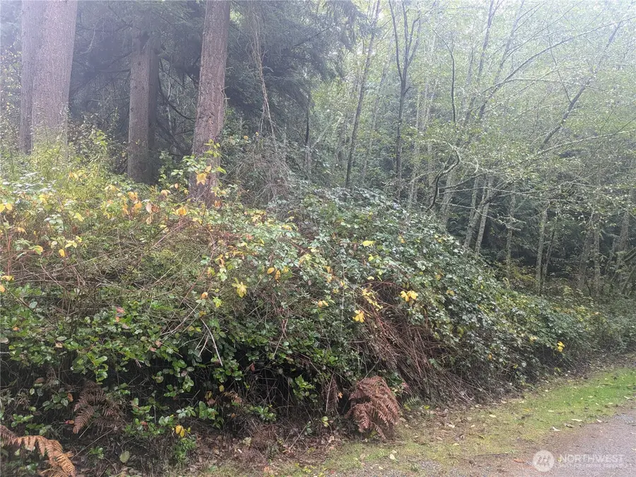 0 Jewett Road, Clinton, WA 98236 - Image #2