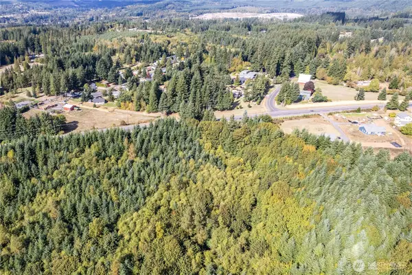 0 Spirit Lake Highway, Castle Rock, WA 98611