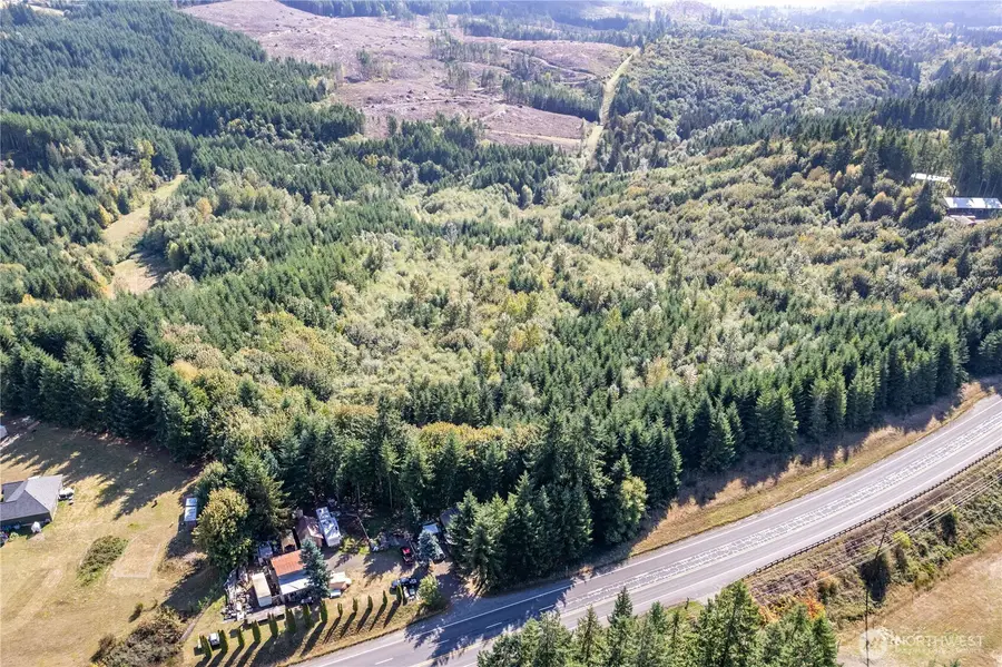 0 Spirit Lake Highway, Castle Rock, WA 98611 - Image #3