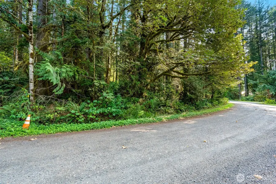 75601 NE 122nd #83, Skykomish, WA 98288 - Image #3