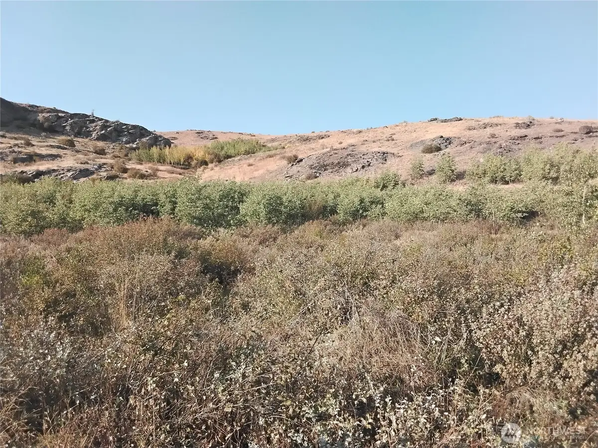 5 Painted Rock Road #5, Tonasket, WA 98855 - Image #1