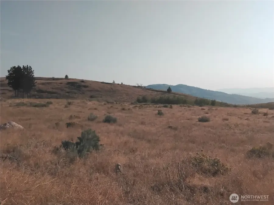 5 Painted Rock Road #5, Tonasket, WA 98855 - Image #2