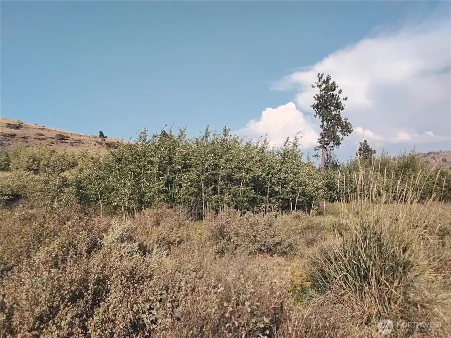 5 Painted Rock Road #5, Tonasket, WA 98855 - Image #3