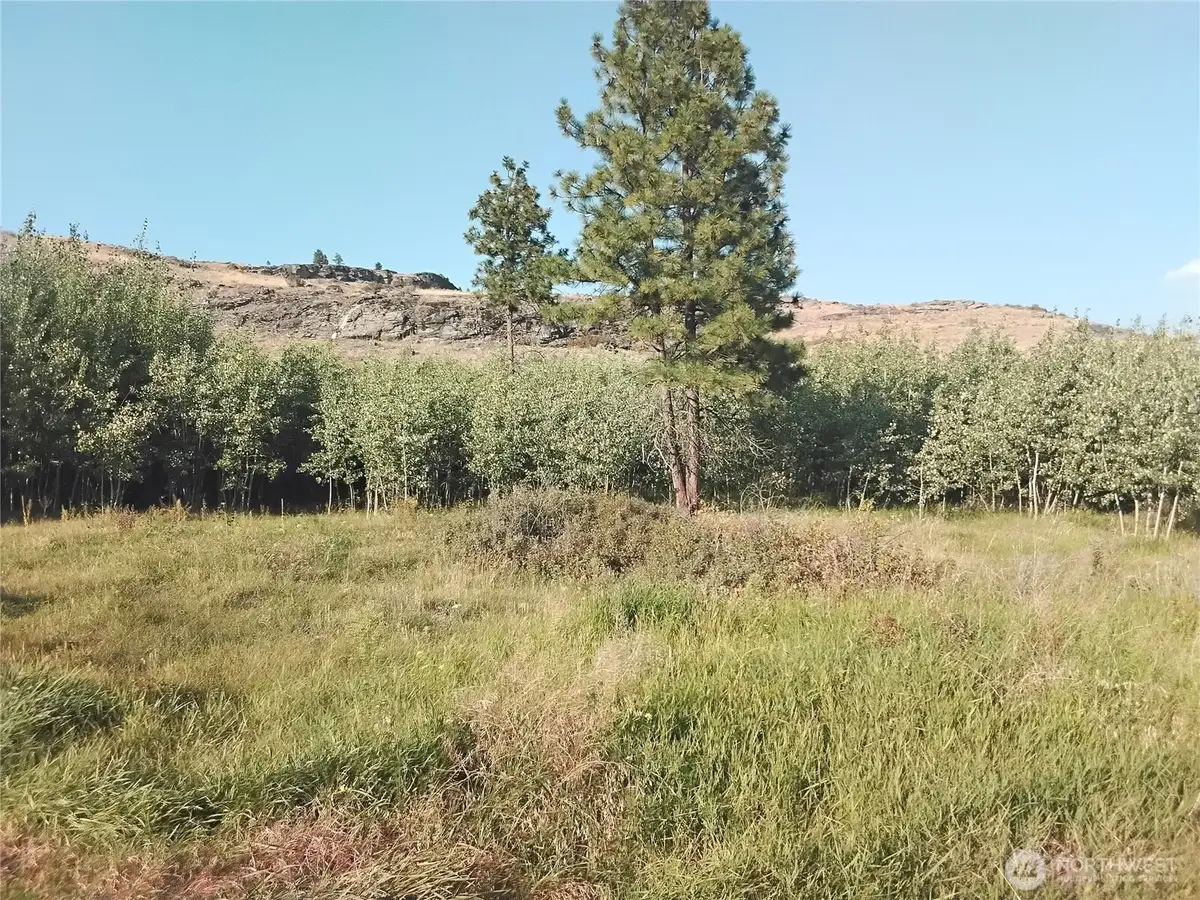 4 Painted Rock Road #4, Tonasket, WA 98855 - Image #1