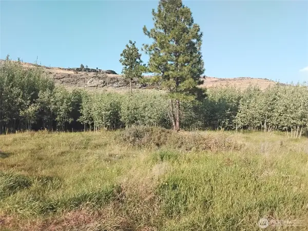 4 Painted Rock Road #4, Tonasket, WA 98855