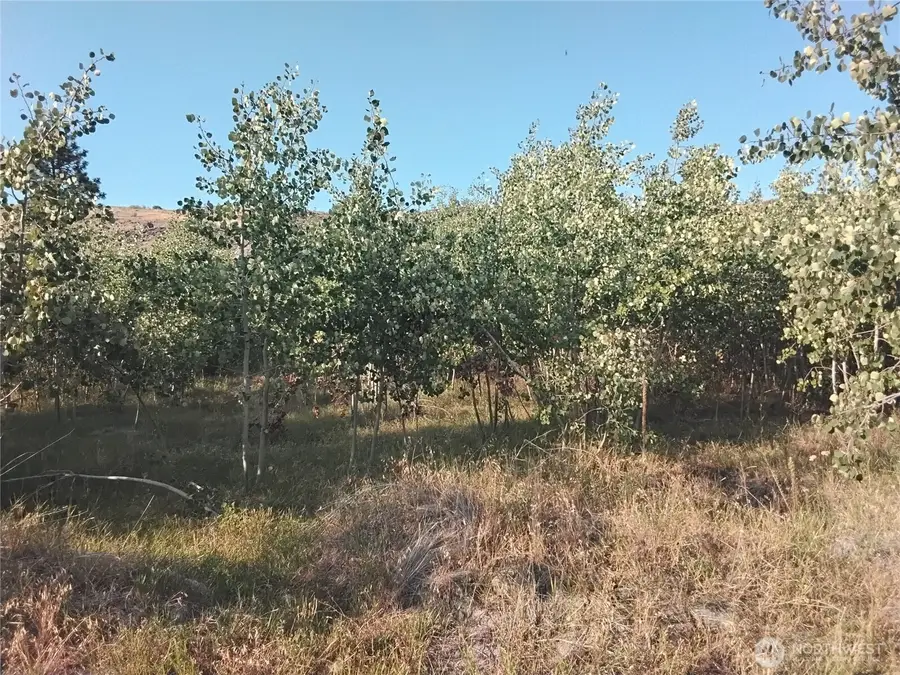 4 Painted Rock Road #4, Tonasket, WA 98855 - Image #2