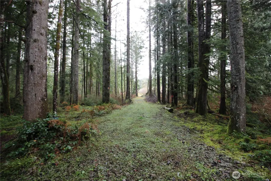 0 364th Avenue Se, Maple Valley, WA 98038 - Image #3