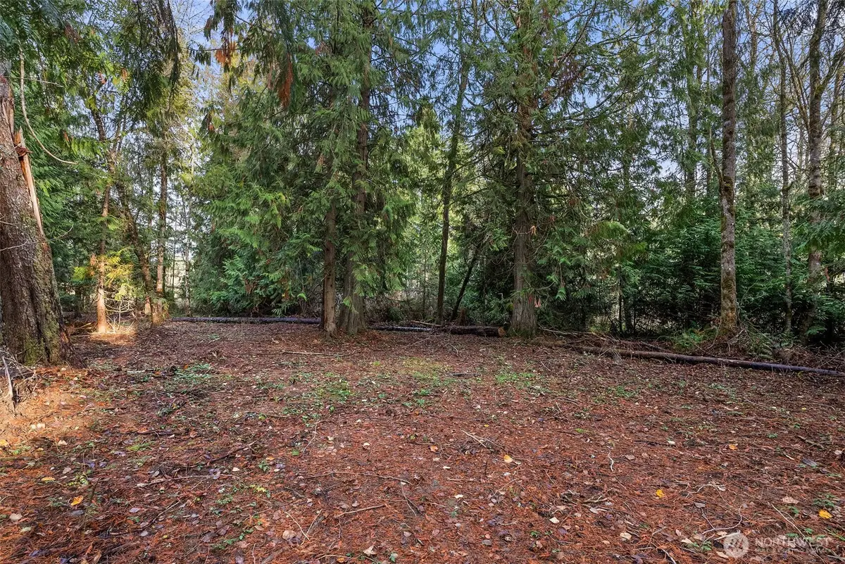 15718 153rd Avenue Se, Yelm, WA 98597 - Image #1