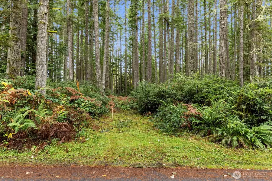 5 Larson Lane Nw, Seabeck, WA 98380 - Image #3