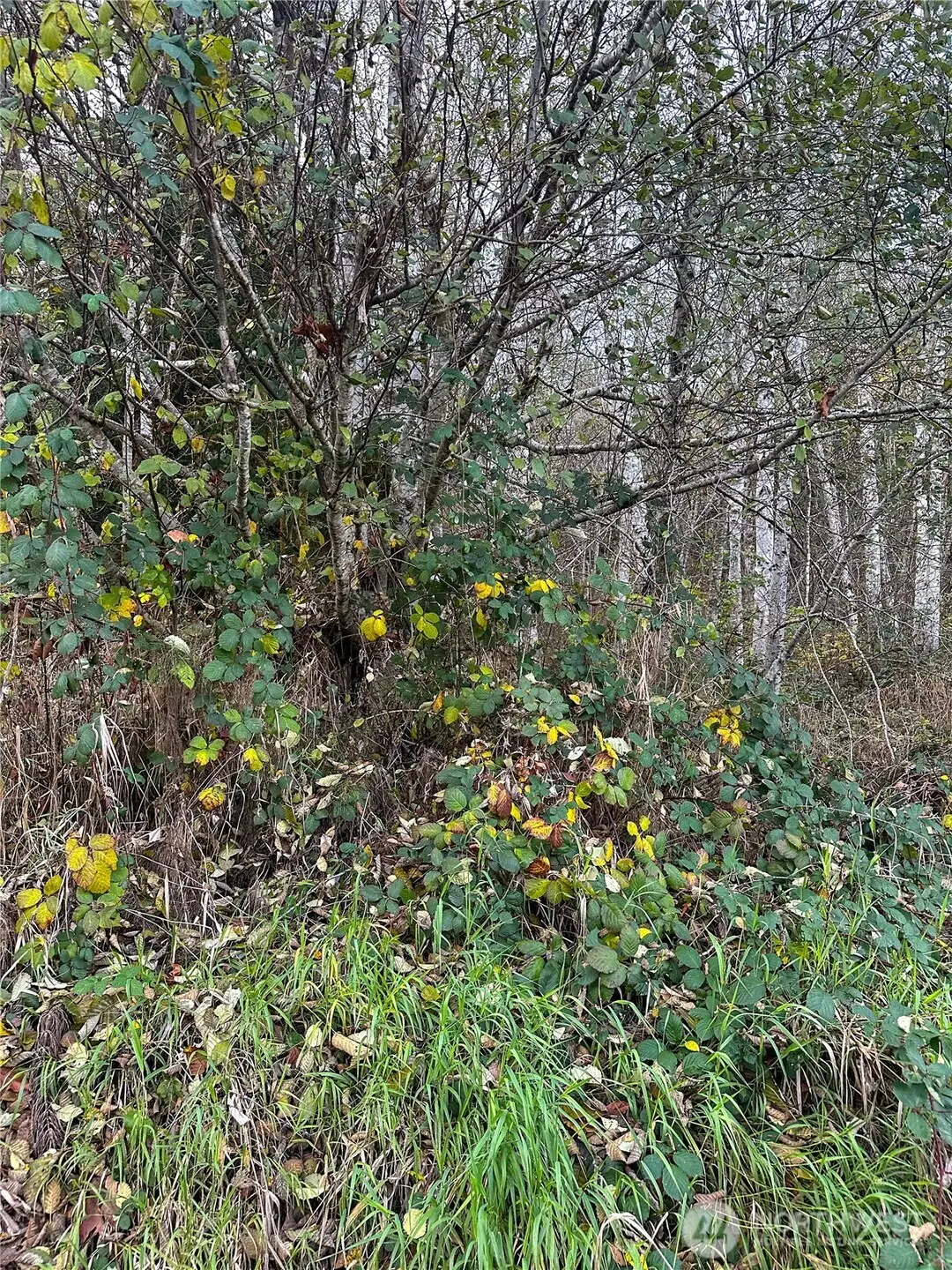 7615 Sprucecrest Street Sw #Lot 384, Olympia, WA 98512 - Image #1