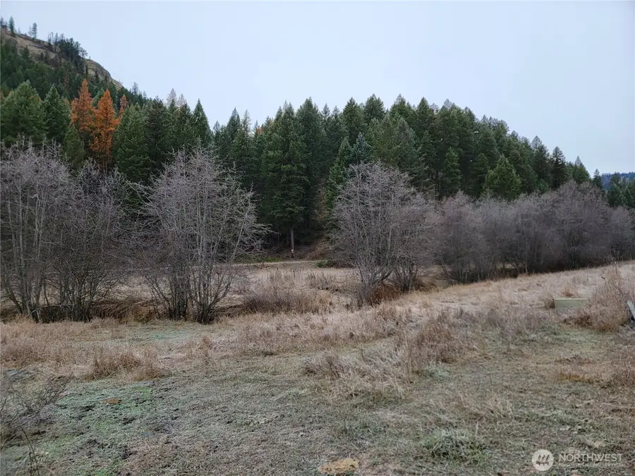 20 Haag Road, Wauconda, WA 98859 - Image #2