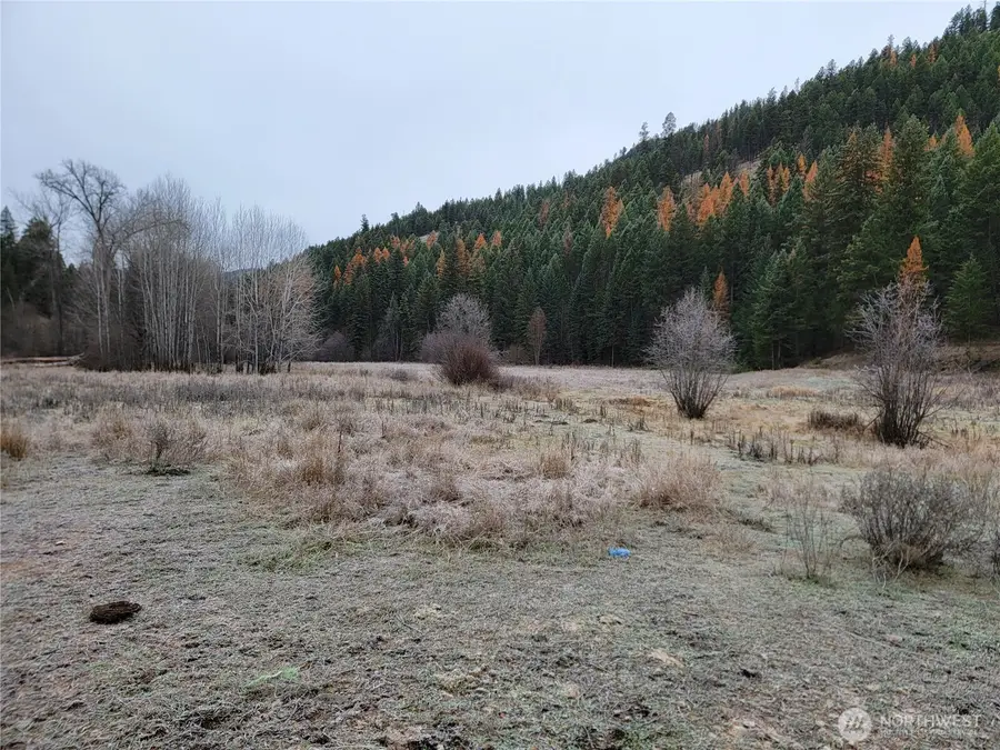 20 Haag Road, Wauconda, WA 98859 - Image #3