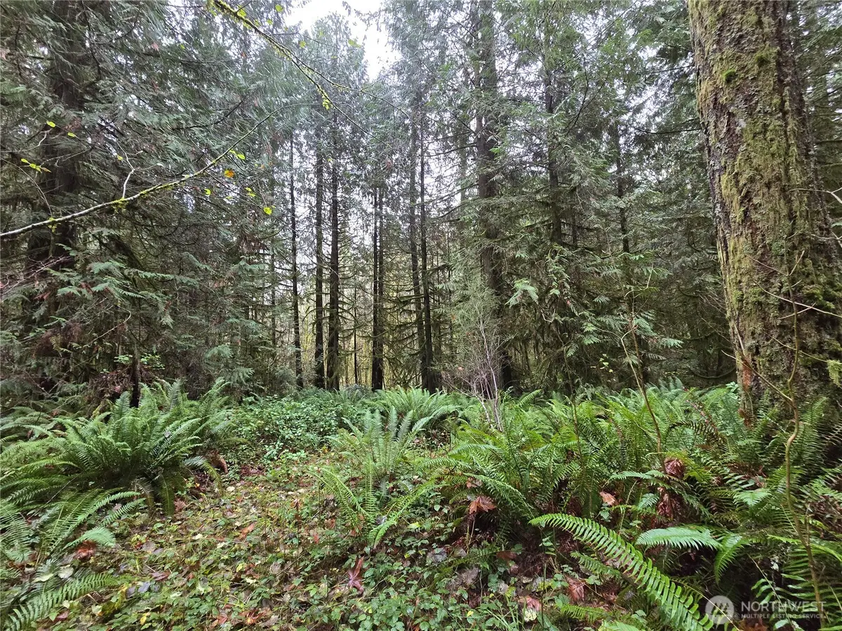 245 Cousins Road, Chehalis, WA 98532 - Image #1