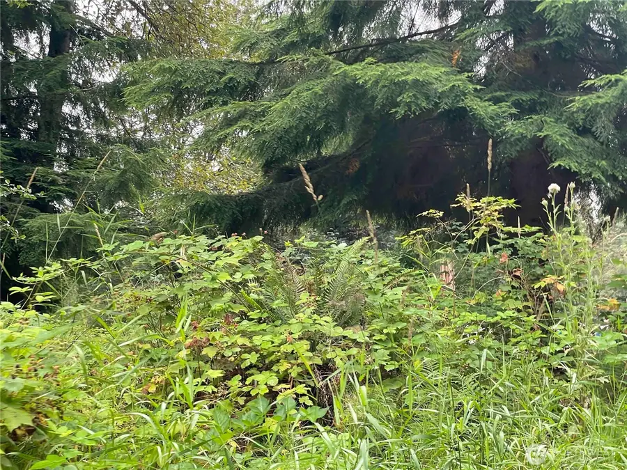 25313 121st Avenue Ne, Arlington, WA 98223 - Image #2