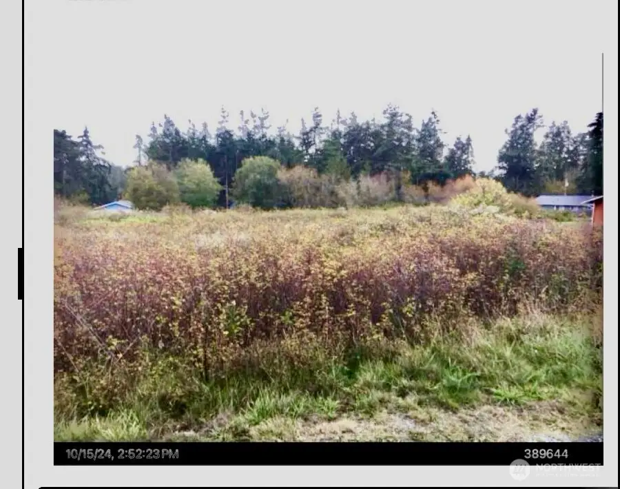 2 San Juan Street #2, Coupeville, WA 98239 - Image #3