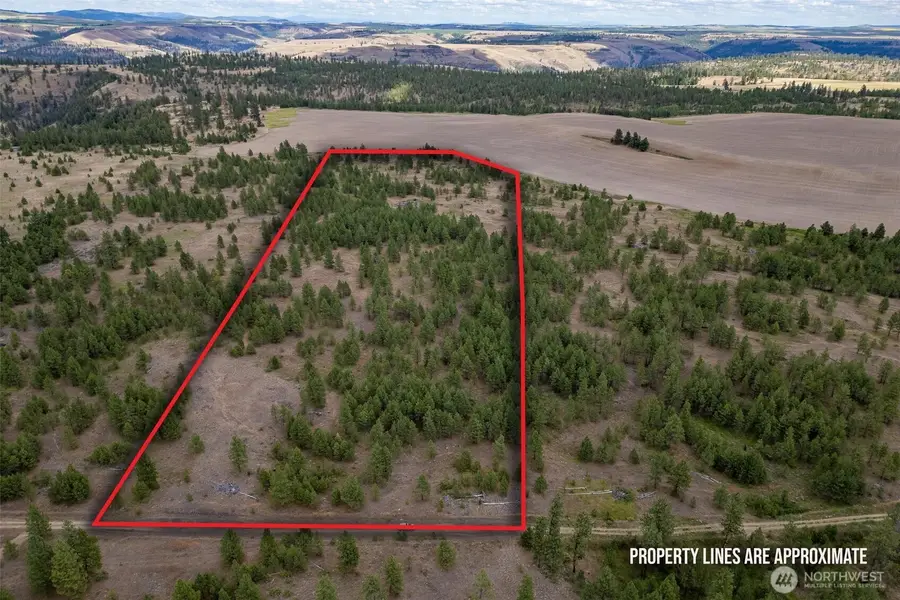 35450 Prairie Lane N #Lot 2, Creston, WA 99117 - Image #2