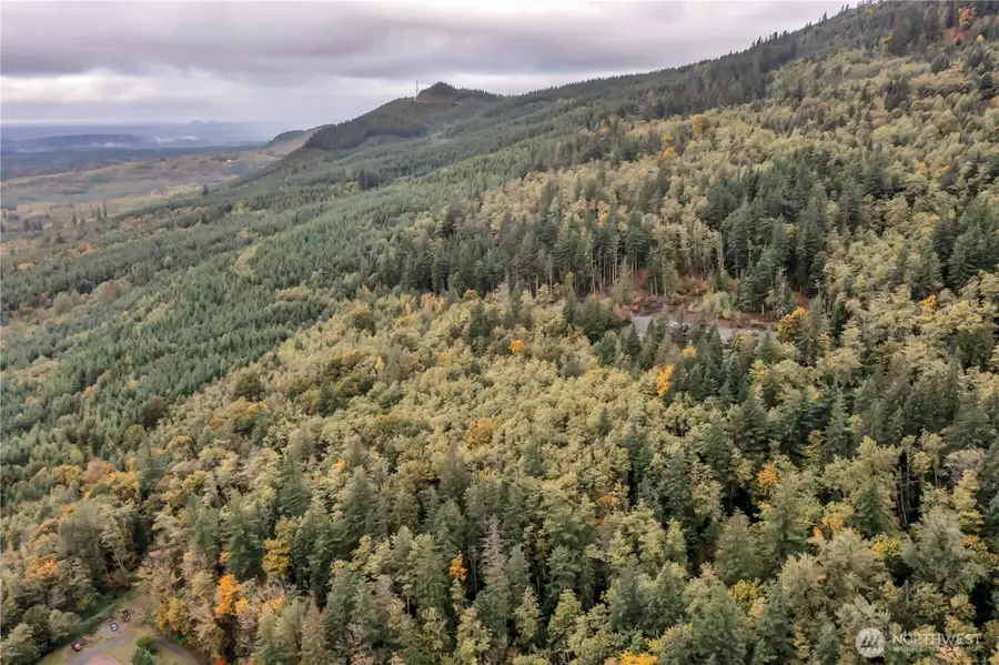 35814 SE 311th Street, Ravensdale, WA 98051 - Image #3