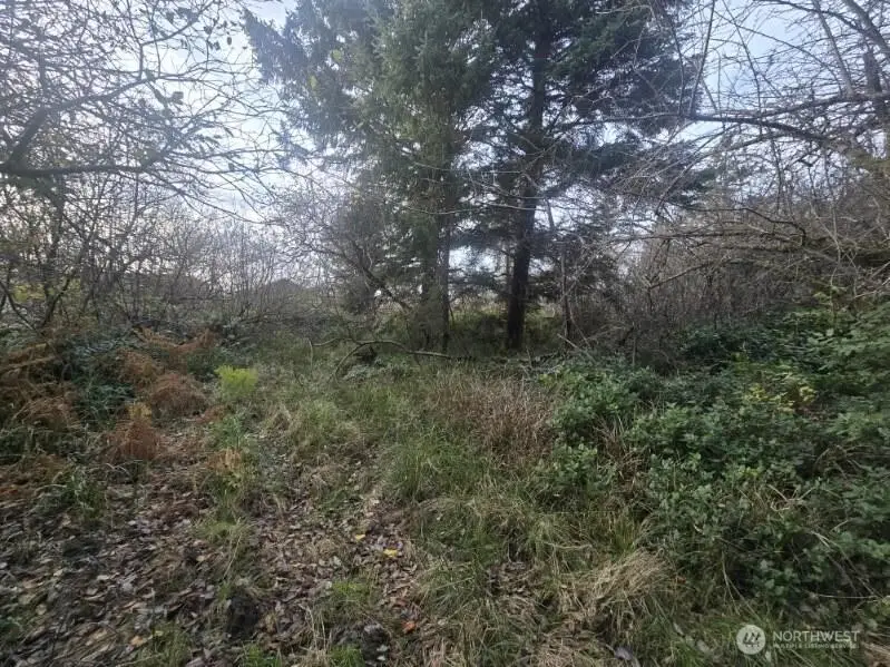 570 NE Puffin Avenue, Ocean Shores, WA 98569 - Image #1