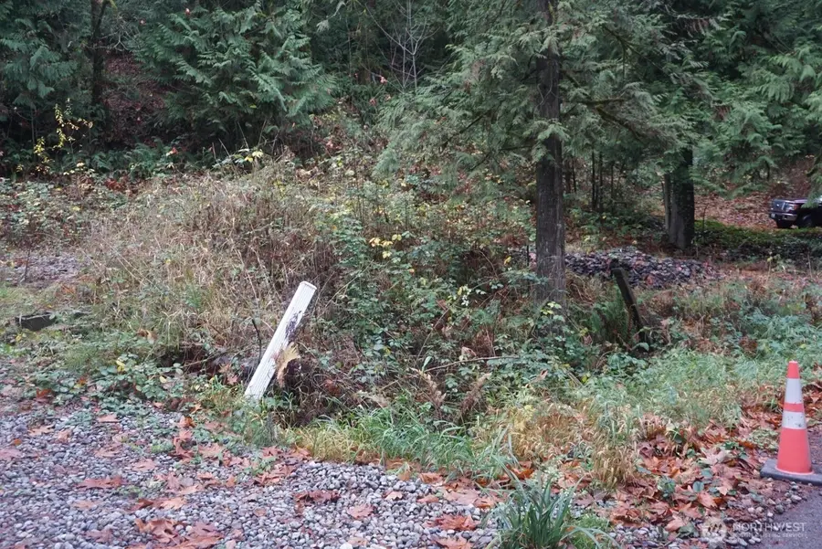 4703 Ames Lake Carnation Rd Ne, Redmond, WA 98053 - Image #3