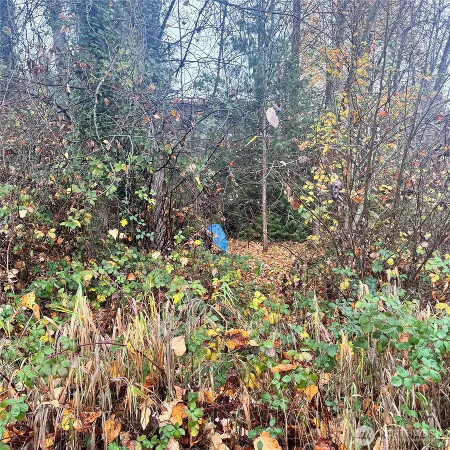 5901 S Fountain Street #1, Seattle, WA 98178 - Image #2