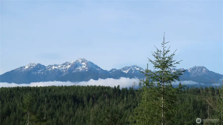 2180 NE Holly Dewatto Rd, Tahuya, WA 98588 - Image #2