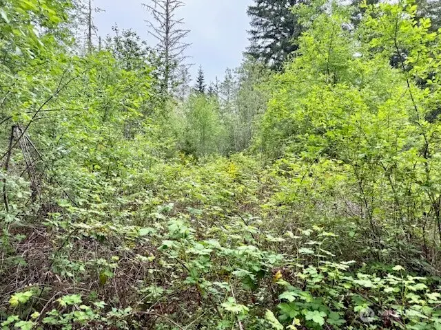 16711 115th Street Nw, Gig Harbor, WA 98329 - Image #3