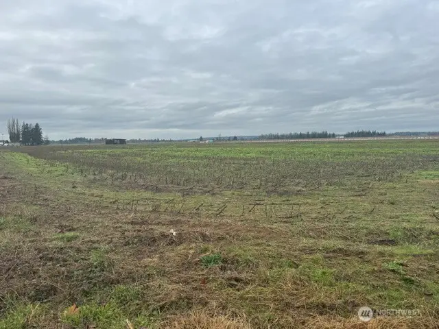 1420 Birch Bay Lynden Road, Lynden, WA 98264 - Image #2