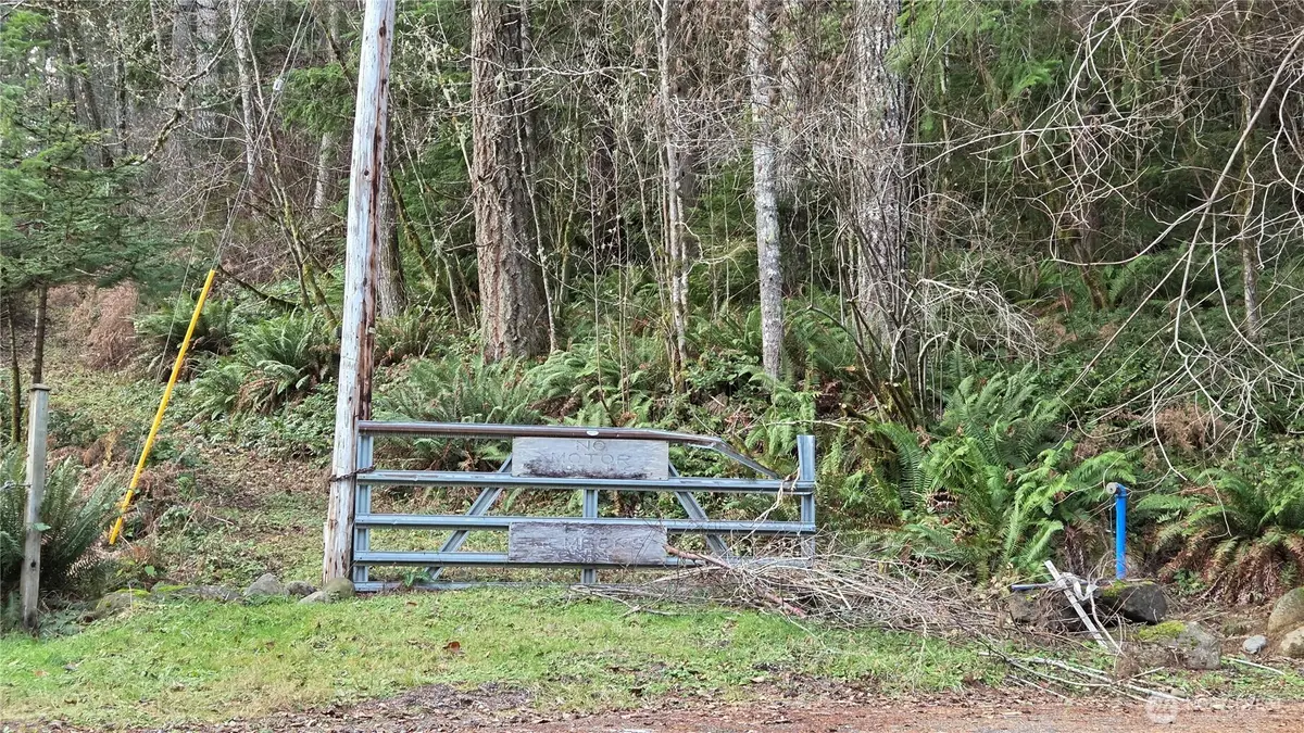 0 Kautz Place, Ashford, WA 98304 - Image #1