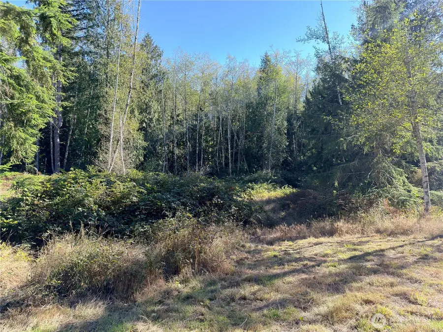 1 Lee Valley Road, Quilcene, WA 98376 - Image #3