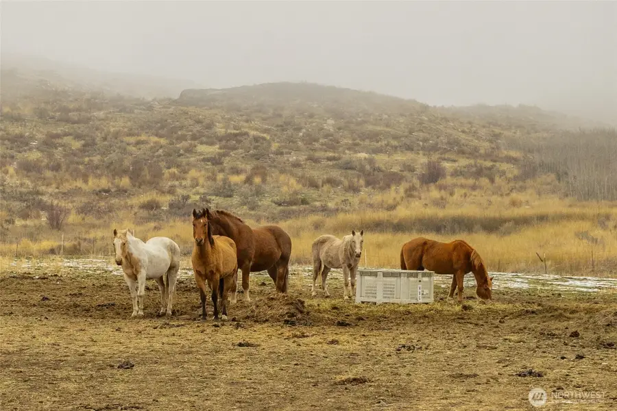 12 Charlie Drive #3, Pateros, WA 98846 - Image #3