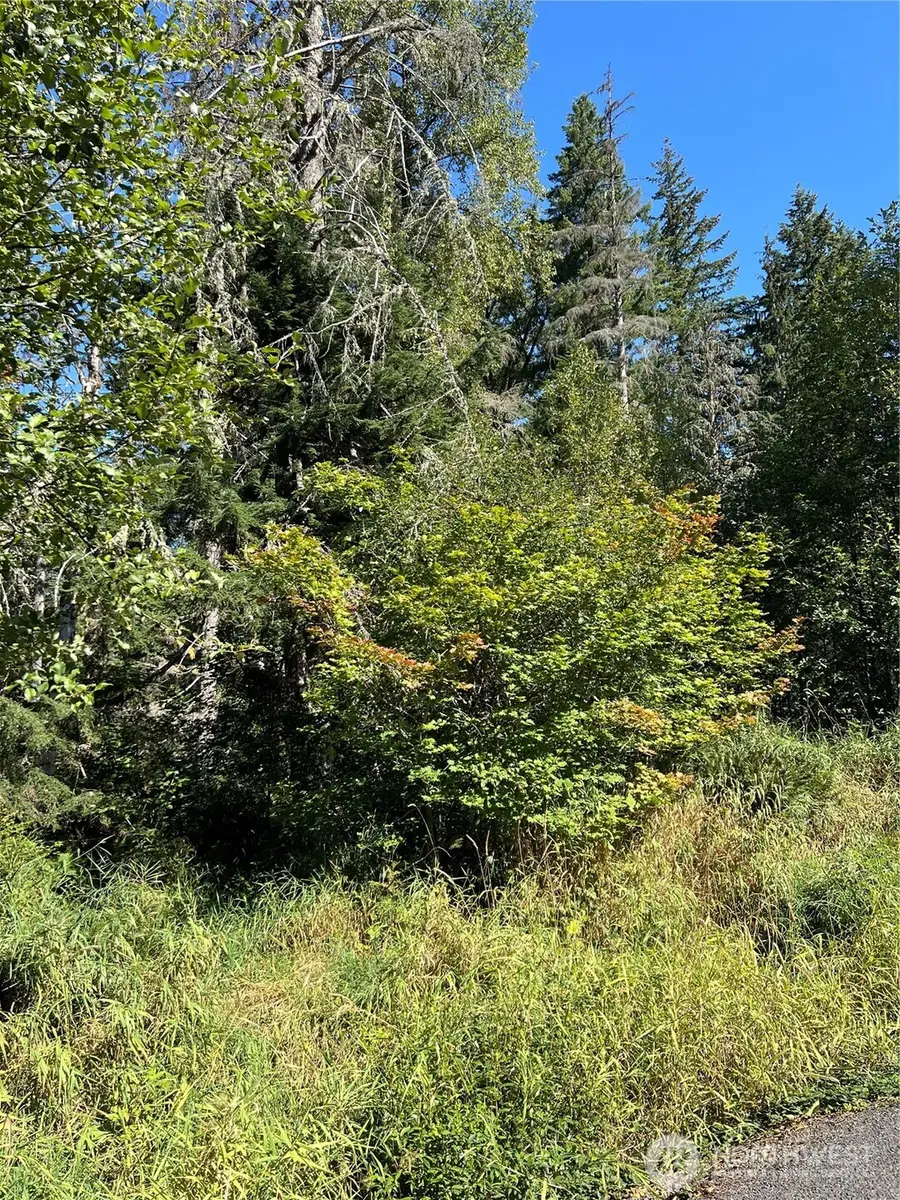 0 Cascade Lane, Eatonville, WA 98328 - Image #2