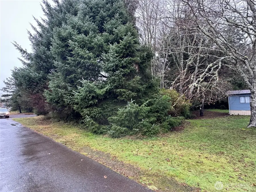 682 Copalis Avenue Ne #Lot 346, Ocean Shores, WA 98569 - Image #3