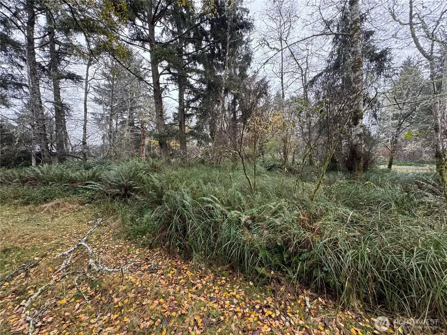 764 Tern Court #Lots 443 & 444, Ocean Shores, WA 98569 - Image #3